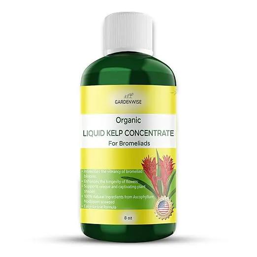 Organic Premium Kelp Seaweed Fertilizer - Bromeliad Fertilizer - Liquid Plant Food, Bromeliad Potting Mix Enhancer - Ideal for Bromeliad Plant & Live Plant Care (8 OZ) by GreenHaven Gardens