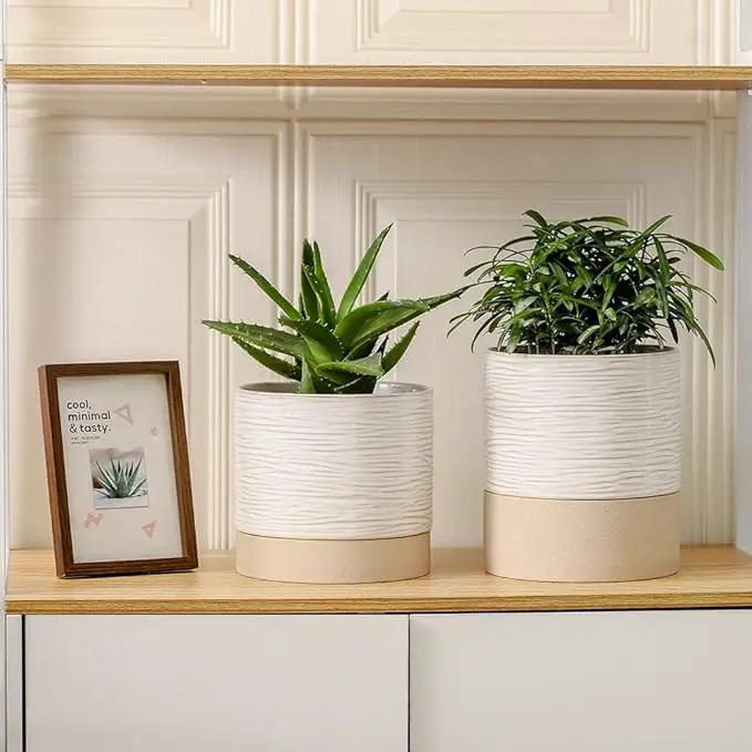 Nihow Self Watering Plant Pot: 6 Inch Ceramic Planter with Drainage Hole & Water Storage Plus for Indoor & Outdoor Plants - Cylinder Round Flower Pot for Succulent/Herbs/Violets - Cream White & Brown by GreenHaven Gardens