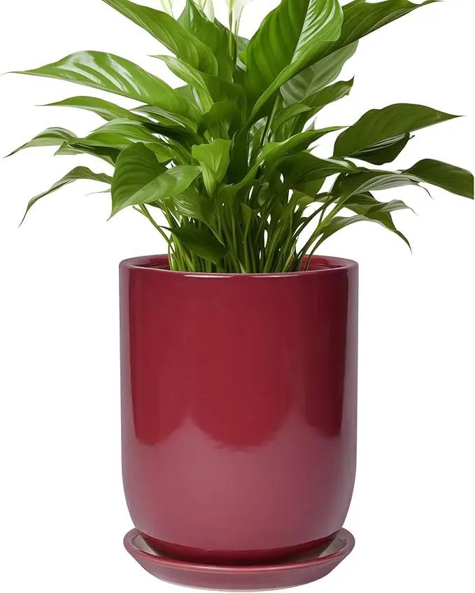 Ceramic Pot for Plants - 8 Inch Plant Pot Indoor with Drainage Hole and Saucer Cylinder Flower Pot for Indoor Outdoor Plants Home Patio Office Decor Red by GreenHaven Gardens