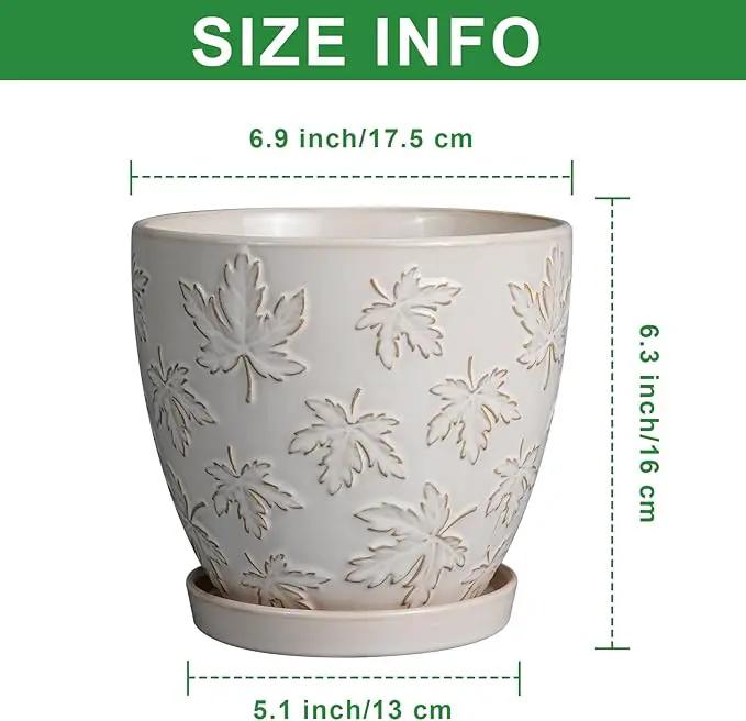 Ceramic Plant Pot 6 Inch - Ceramic Planter with Drainage Hole and Saucer Round Planter Flower Pot for Indoor Plants Outdoor Home Garden Office Decor White by GreenHaven Gardens