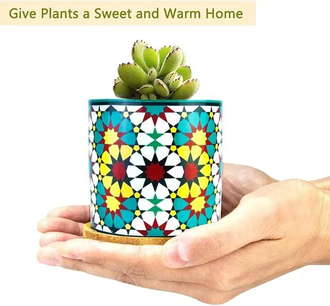 6 Pack Mandala Succulent Plant Pot with Bamboo Trays, Ceramic Multicolored Succulent Container Planter Pot for Small Plant by GreenHaven Gardens