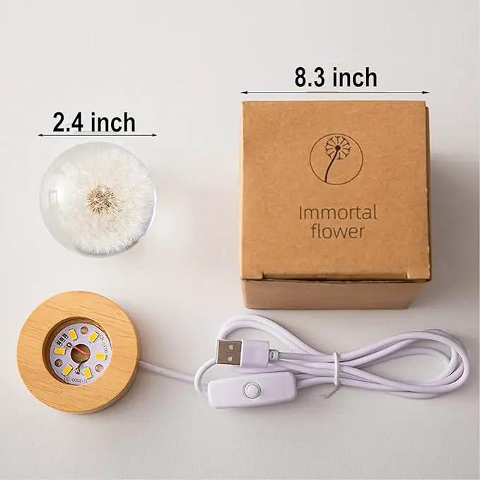 Flower Crystal Ball Night Light,2.4 inch Glass Ball Night Lamp with Woodern Base (Dandelion) by GreenHaven Gardens