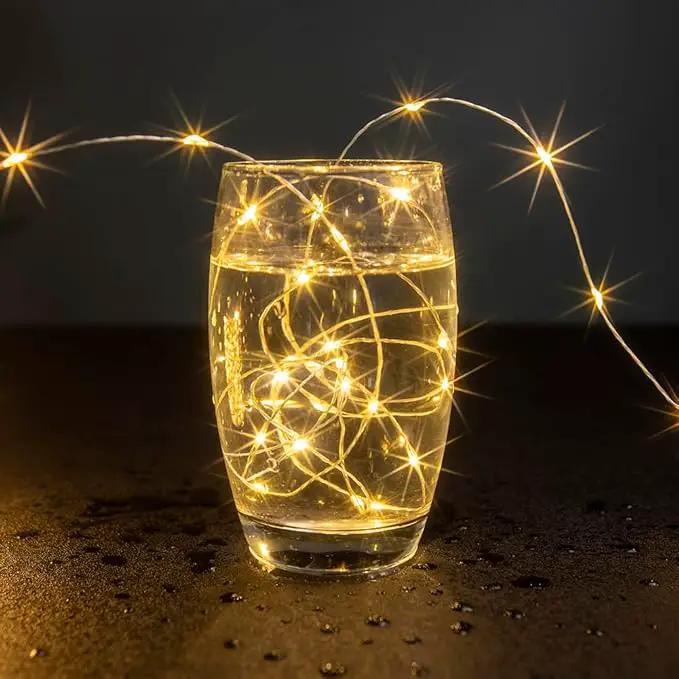 Fairy Lights Plug in,164FT 1000 LEDs Waterproof String Lights,Twinkle Light with Remote for Outdoor Indoor Christmas Wedding Birthday Garden Party Decorations,2 Inch Space,Warm White by GreenHaven Gardens