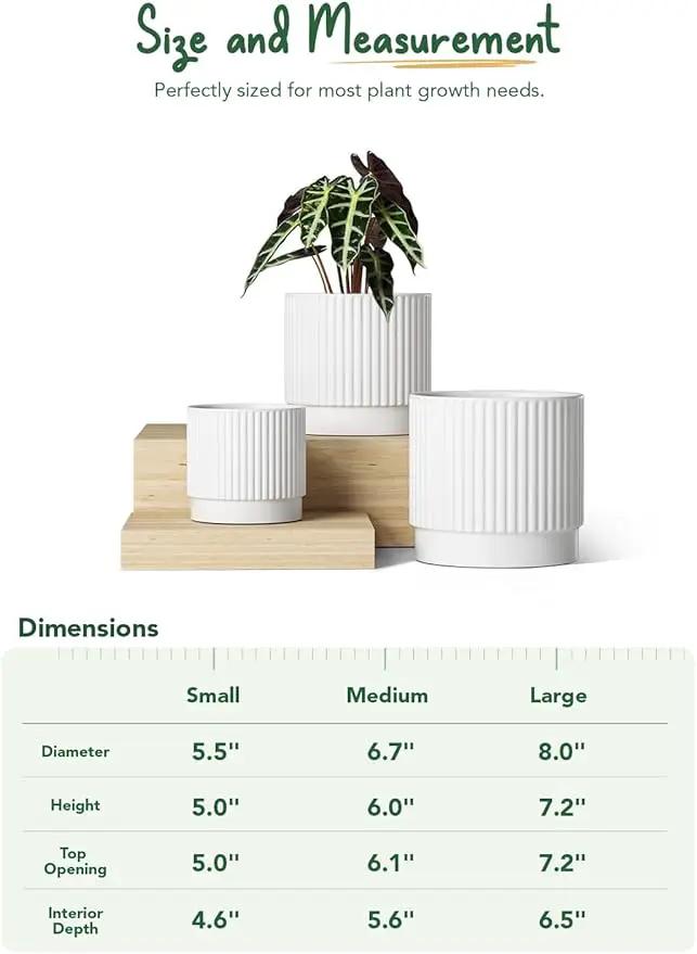 LE TAUCI Ceramic Pots for Plants, 8+6.7+5.5 Inch Plant Pots Indoor, Flower Pot with Drainage Holes, Medium Cylinder Planters for Indoor House Plants, Set of 3, White by GreenHaven Gardens