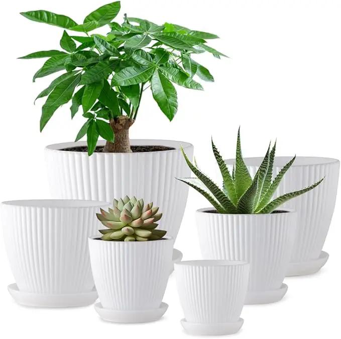7.5/6.5/5.5/4.9/4.2/3.5 Inch Plant Pots, Plastic Flower Pots with Drainage Holes and Plate, Indoor/Outdoor Plant Planters with Different Size, 6 Pack Durable Pots for Plants, White by GreenHaven Gardens
