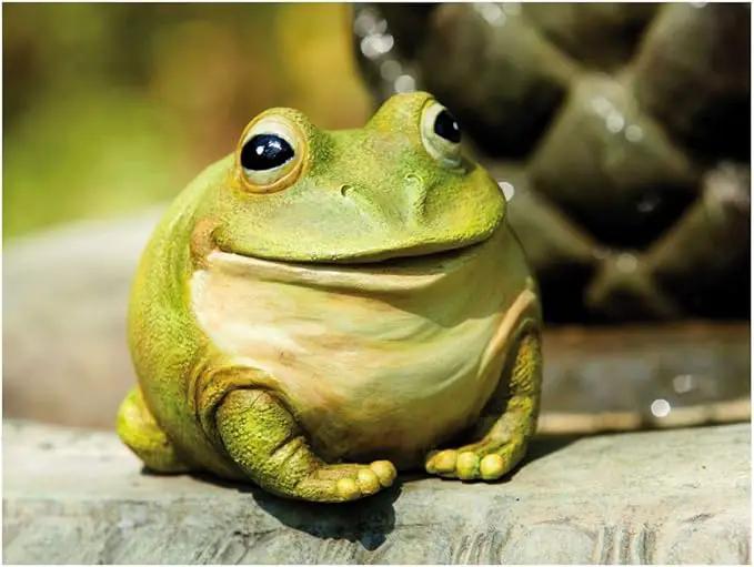Evergreen Cute Portly Frog Outdoor Statue and Secret Key Holder | Weatherproof and Outdoor Safe | Garden Sculpture | Porch Garage or Patio Home Decor | 6 Inches Tall by GreenHaven Gardens