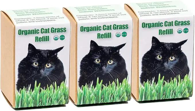 Cat Grass Refill Kit (3) by GreenHaven Gardens