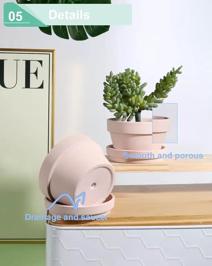 vensovo 3.7 Inch Pink Terracotta Shallow Succulent Pots - 6 Pack Terra Cotta Clay Pot with Saucer, Cacuts Indoor and Outdoor Planters with Drainage Hole by GreenHaven Gardens
