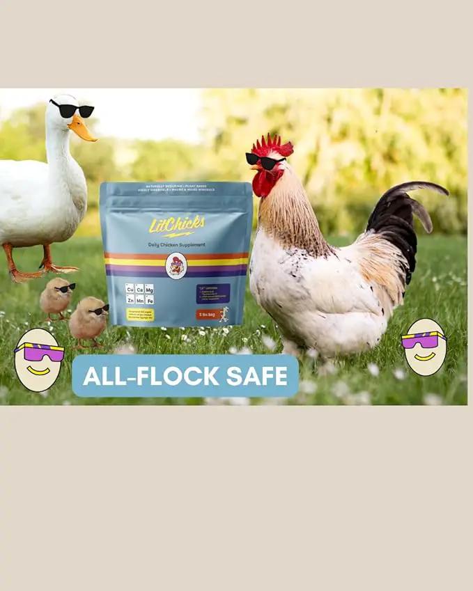 LitChicks’ Calcified Seaweed for Laying Chickens - Crushed Oyster Shell Alternative - Highly Digestible - Single Ingredient - Helps with Egg Laying & Flock Health. by GreenHaven Gardens