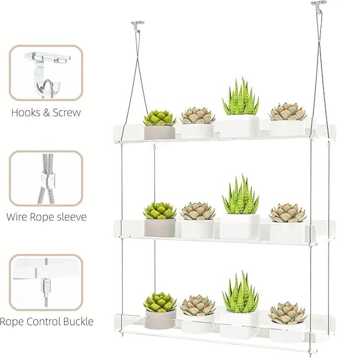 Hanging Clear Window Plant Shelves, Height Adjustable Acrylic Window Plant Hanger, 3-Tier Sturdy Window Sill Plant Shelf for Indoor Window Grow Herbs, Succulents, Flower by GreenHaven Gardens
