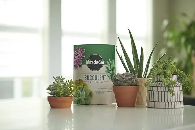 Miracle-Gro Succulent Potting Mix - Fertilized Soil with Premium Nutrition for Indoor Succulents, 4 qt. (2-Pack) by GreenHaven Gardens