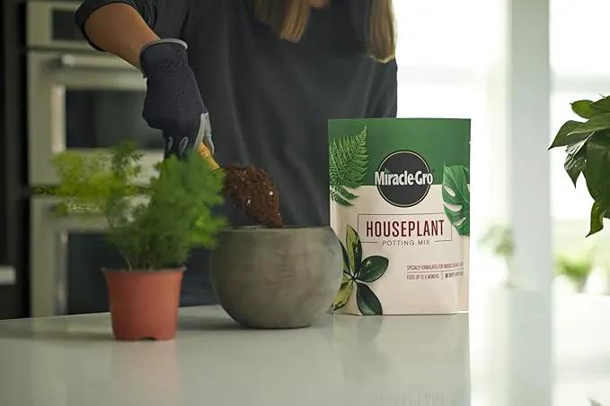 Miracle-Gro Houseplant Potting Mix - Fertilized Soil, Designed to be Less Prone to Gnats, 4 qt. (2-Pack) by GreenHaven Gardens