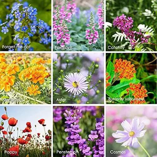 Pollinator Wildflower Seeds Bulk – 1 lb, 640,000+ Seeds – 23 Variety Mix for Hummingbirds & Butterflies – Non-GMO Annual & Perennial Flower Seed for Planting by GreenHaven Gardens