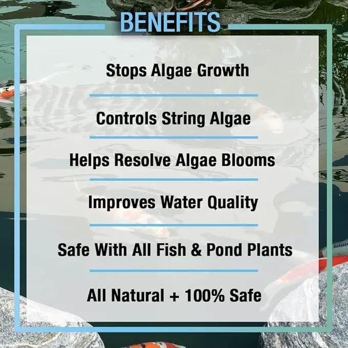 MICROBE-LIFT ALGA32 Algaway 5.4 Algae Control Treatment for Ponds and Water Gardens, 32 Ounces & MLCBSE1L Concentrated Barley Straw Extract Conditioner for Ponds and Outdoor Water Garden,32 Ounces by GreenHaven Gardens