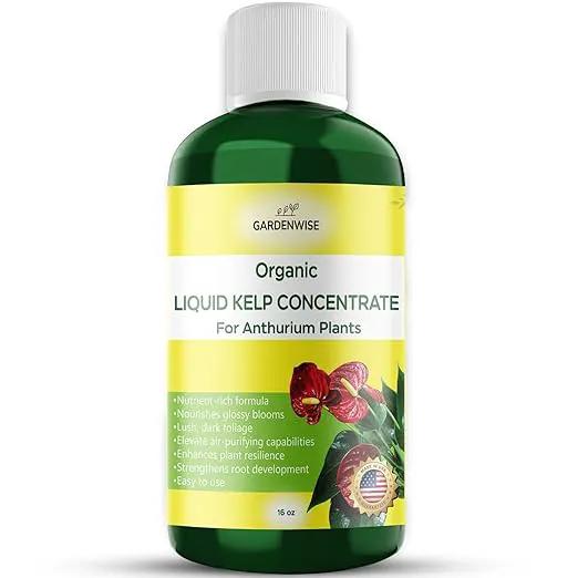 Organic Premium Seaweed Anthurium Fertilizer - Liquid Kelp Plant Food - Nutrient-Rich Soil Enhancer (16 OZ) by GreenHaven Gardens