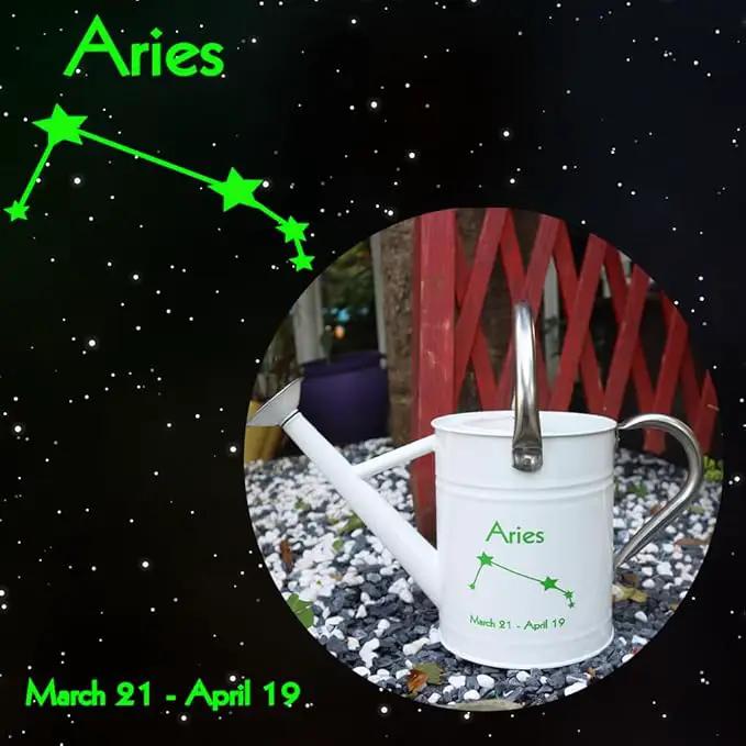 Metal Watering Can for Outdoor and Indoor Plants, Watering Can Decor, 1 Gallon (Aries) by GreenHaven Gardens