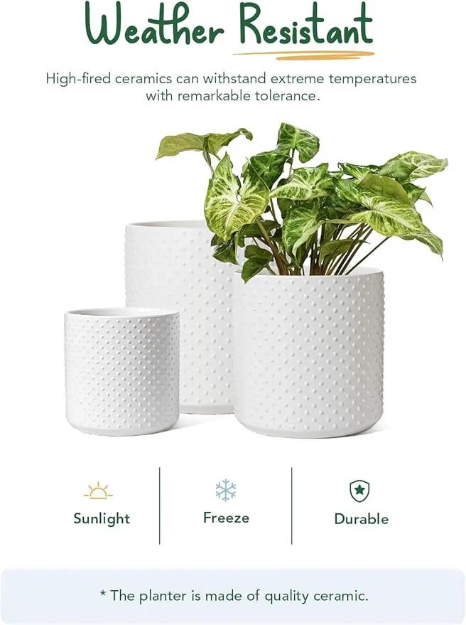 LE TAUCI 6+8+10 Inch Plant Pots Indoor, Ceramic Planter Pots for Plants, Raised Dots Flower Pots Indoor for Home and Office, Mid-Modern Century Pots Indoor with Drainage Hole and Silicone Plug, White by GreenHaven Gardens