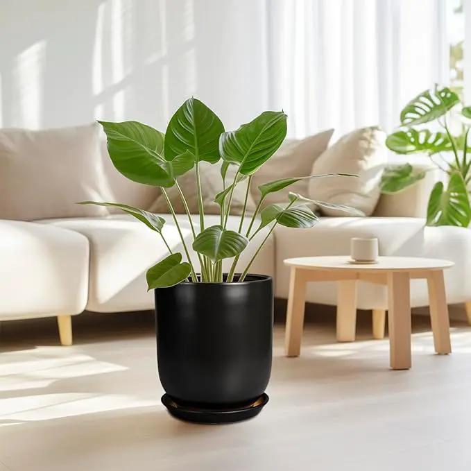 Ceramic Planter 10 Inch - Ceramic Pot for Indoor Plants Outdoor Plant Pot with Drainage Hole and Saucer Cylinder Flower Pot Black by GreenHaven Gardens