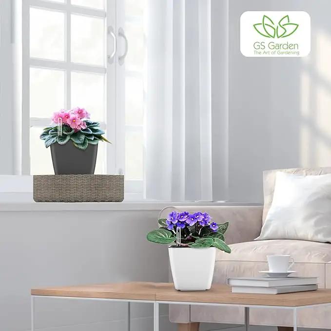 Self Watering Planters for Indoor Plants : 5 inch 6 Pack White Planter with Water Level Indicator African Violet Self Watering Flower Pot for Herb pots by GreenHaven Gardens