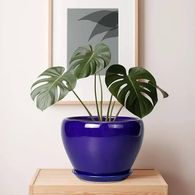 Ceramic Planter 10 Inch - Indoor Plant Pot for Plants with Drainage Hole and Saucer Large Planter Round Outdoor Flower Pot Mid-Century for House Patio Decor Blue by GreenHaven Gardens