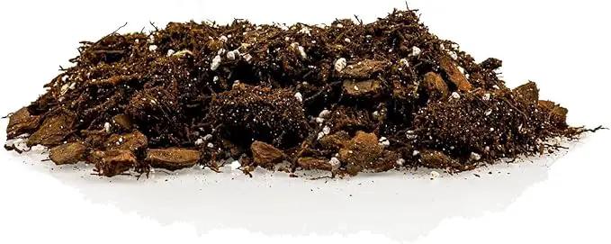 Premium Gardenera House Plant Potting Mix | Fern + New Zealand Bark + Perlite | Great for Pothos, Spider Plants, Montsera, Philodendron, English Ivy - 1 Quart Bag by GreenHaven Gardens