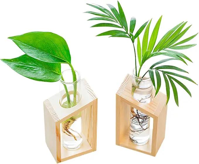 Ivolador Plant Propagation Station, Plant Propagation Tubes,Gifts for Plant Lovers,Plants Cutting Holder Office Desk Garden Décor Gifts for Mom Women Hydroponic Vase Gift Box by GreenHaven Gardens