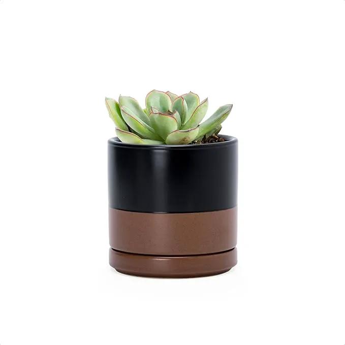D'vine Dev 3.5 Inch Ceramic Planter Pot with Drainage Hole and Saucer, Indoor Cylinder Round Planter Pot, Black/Speckled Tan, 94-O-A-7 by GreenHaven Gardens