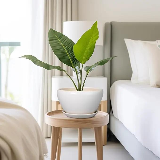 Ceramic Planter - 9 Inch Plant Pot Indoor with Drainage Hole and Saucer for Outdoor Plants Mid-Century Round Planter Modern Flower Pot for House Garden White by GreenHaven Gardens