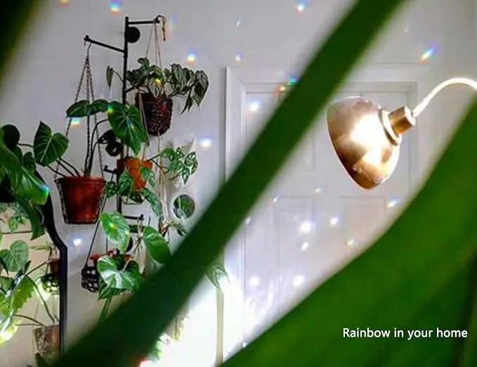 MerryNine 20Pack Crystal Ball 0.8"/20mm Prism Sun Shine Catcher Rainbow Pendants Maker, Hanging Crystals Prisms for Windows, for Feng Shui, for Gift (Multicolor) by GreenHaven Gardens