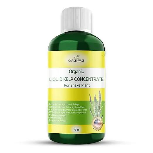 Organic Seaweed Kelp Liquid Fertilizer for Sansevieria - Snake Plant Food (16 OZ) by GreenHaven Gardens
