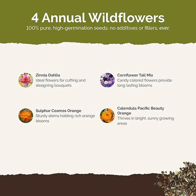 Eden Brothers Jellybean Flower Mixed Seeds for Planting, 1 lb, 480,000+ Seeds with Zinnia, Cornflower, Cosmos, Calendula | Attracts Pollinators, Plant in Spring or Fall, Zones 3, 4, 5, 6, 7, 8, 9, 10 by GreenHaven Gardens