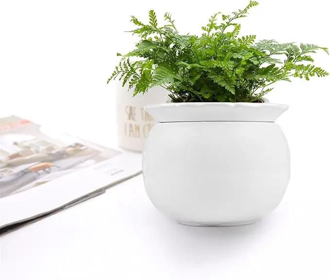 African Violet Pots, 6 inch Ceramic Easy Self Watering Plant Pot for Busy Plant Lovers, Automatically Absorb Appropriate Amount of Water, Flower Pot Indoor-Plants Not Included by GreenHaven Gardens