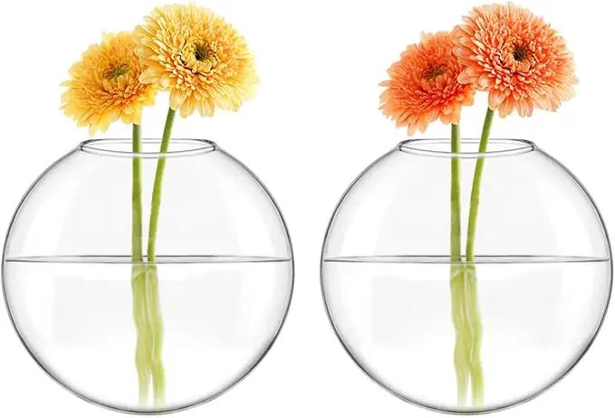 Mkono Wall Hanging Glass Terrariums Planter Oblate Flower Vase for Hydroponics Plants, Bathroom, Home Office Living Room Decor, Set of 2 by GreenHaven Gardens