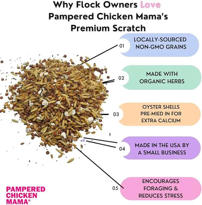 Pampered Chicken Mama Chick Feed - Premium Chicken Scratch Treat - High Protein & Calcium Grower Feed for Laying Hens (10 lbs) by GreenHaven Gardens