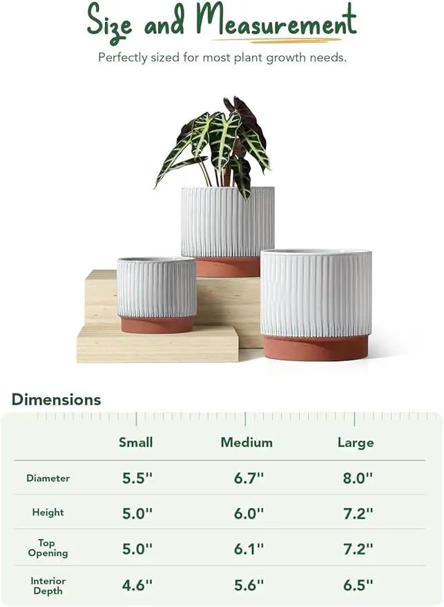LE TAUCI Ceramic Pots for Plants, 8+6.7+5.5 Inch Plant Pots Indoor, Flower Pot with Drainage Holes, Medium Cylinder Planters for Indoor House Plants, Set of 3, Reactive Glaze White by GreenHaven Gardens
