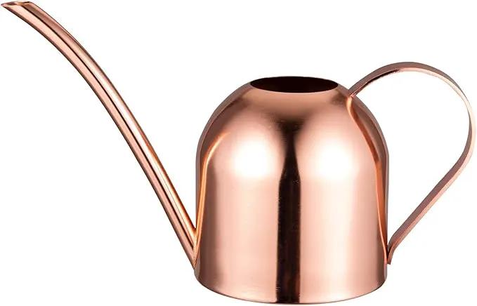 IMEEA Small Watering Can for Indoor Plants Stainless Steel Indoor Watering Can with Long Spout, 15oz/450ml by GreenHaven Gardens