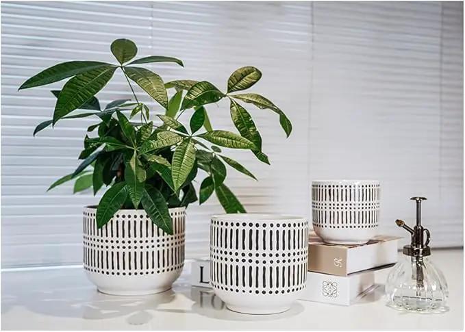 Docrin Plant Pots Ceramic: 6.5+5.3+4 Inch Flower Pots with Drainage Holes for Home/Office - Set of 3/White and Black by GreenHaven Gardens