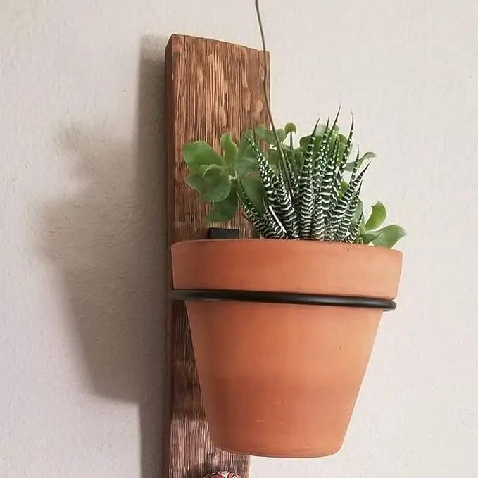 6 Pack 6in Flower Pot Holder Ring Wall Mounted Metal Planter Hooks Hangers Wall Bracket Wall Planter Hook (6, 6") by GreenHaven Gardens