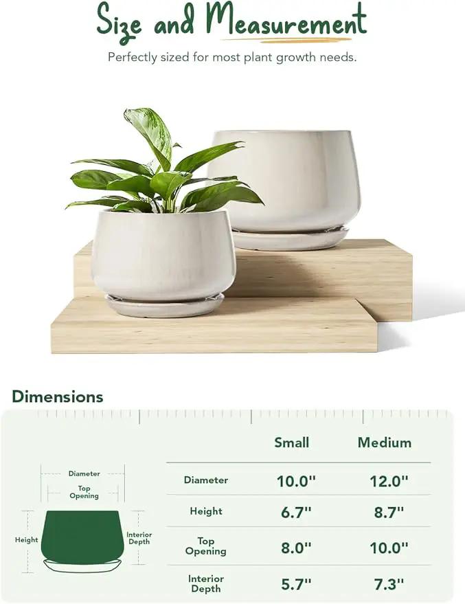 LE TAUCI Ceramic Plant Pots, Set of 2, 10 + 12 Inch Plant Pot, Elegant Planters for Indoor Plants, Sturdy Planter with Drainage Hole and Saucers, Perfect for Home Decor, Reactive Glaze Beige by GreenHaven Gardens