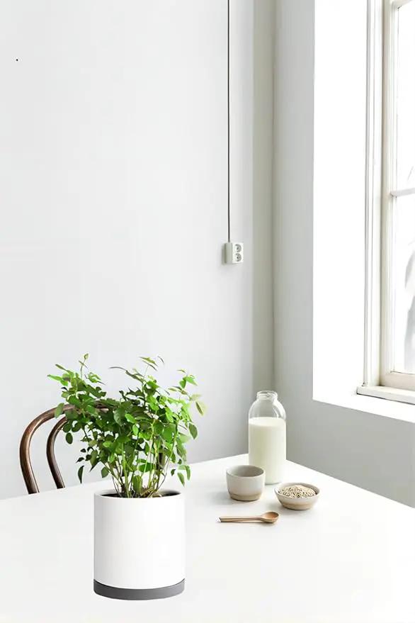 2 Pack Ceramic Plant Saucer Pot Tray 6 Inch, Planter Saucers 4 5 6 7 8 9 10 11 12 13 Inch for Indoors Outdoor, Durable Sturdy Flower Drainage drip Water Tray for Glazed Pots Base (6.4 Inch-Grey) by GreenHaven Gardens