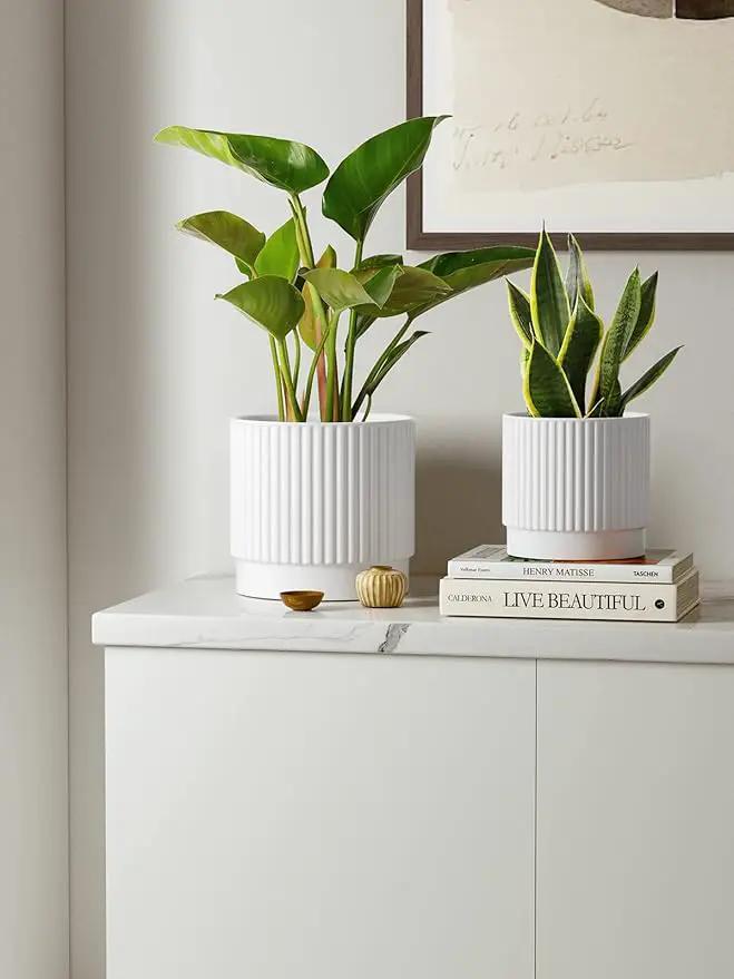 LE TAUCI Ceramic Plant Pots with Drainage Holes, Set of 3, 8+6.7+5.5 Inch Stripe Garden Planter Pots for Outdoor Indoor Plants Flower, Round Succulent Orchid Flower Pot, Small to Large Size, White by GreenHaven Gardens