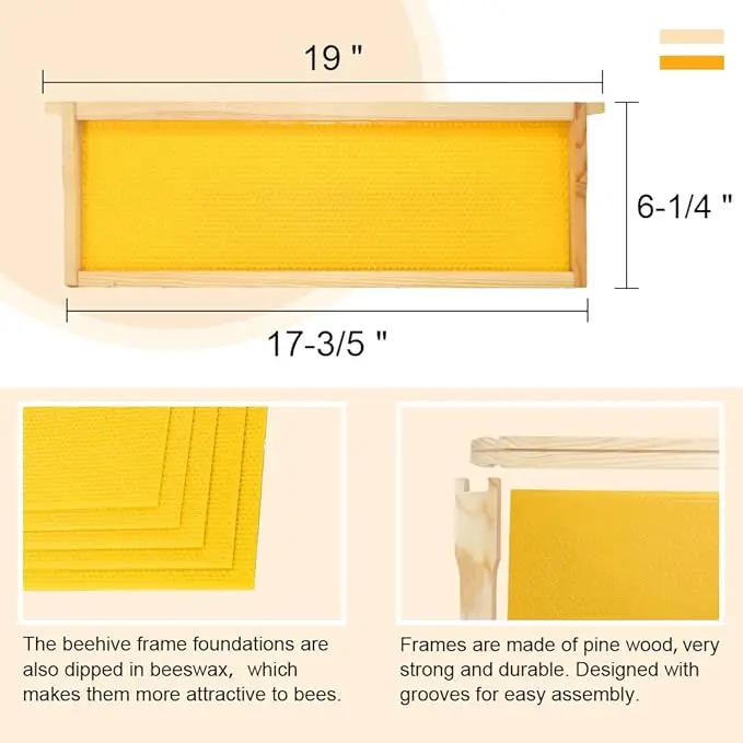 8 Frame Bee Hive Box, Langstroth Medium Super Bee Box Dipped in 100% Beeswax Include Beehive Frames and Waxed Foundation Sheets (Unassembled) by GreenHaven Gardens