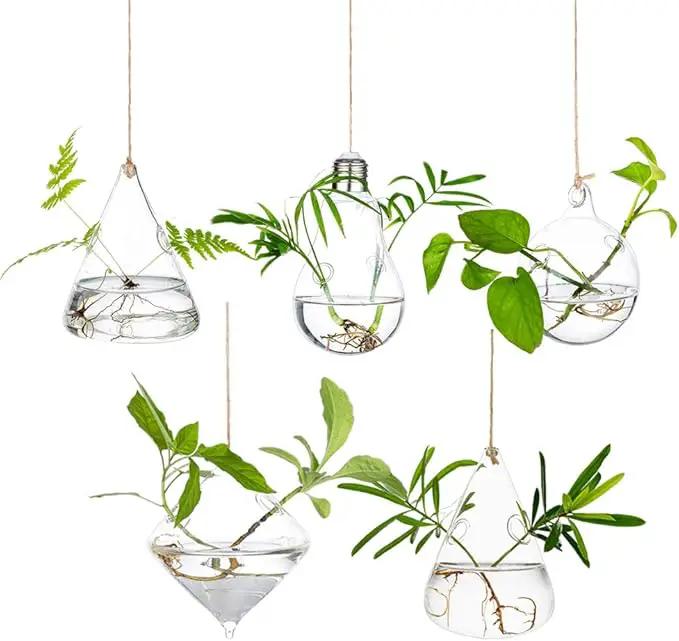 Glasseam Hanging Planters Glass Terrarium: 5Pcs Modern Plant Propagation Stations Hydroponic Wall Vases for Air Plants Flowers Indoor Window Home Decor by GreenHaven Gardens