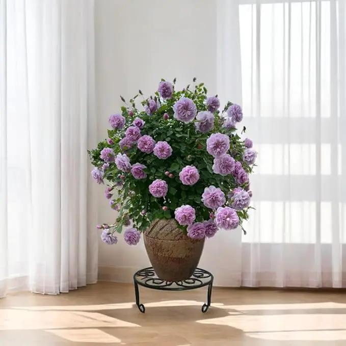 2 Pack 13'' Diameter Metal Plant Stand for Large Plant/Flower Pot Heavy Duty Potted Holder Indoor Outdoor Rustproof Iron Display Stand,Black by GreenHaven Gardens
