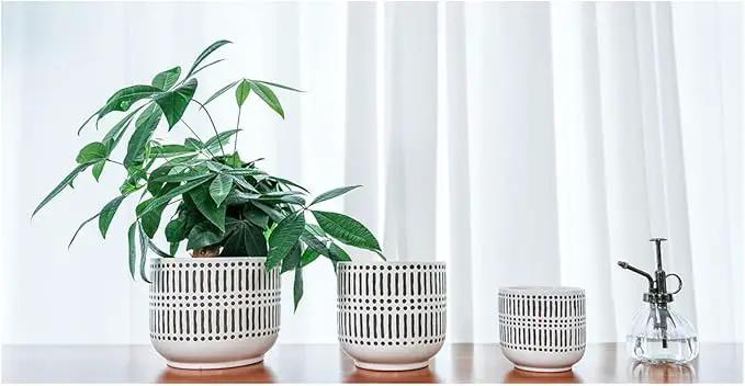 Docrin Plant Pots Ceramic: 6.5+5.3+4 Inch Flower Pots with Drainage Holes for Home/Office - Set of 3/White and Black by GreenHaven Gardens