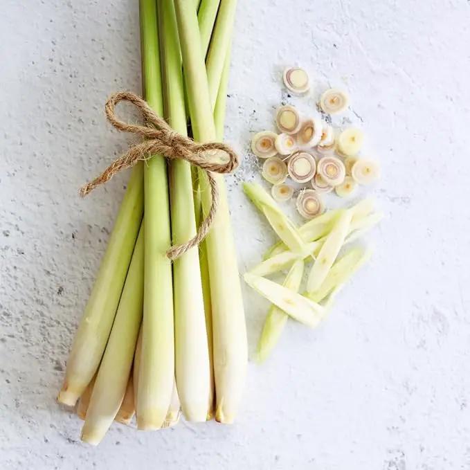 Lemongrass - Cymbopogon citratus. Live Plant. Fragrant, Fresh, Edible. Easy Grow. Indoor/Outdoor. (4 Lemongrass in Sac) by GreenHaven Gardens