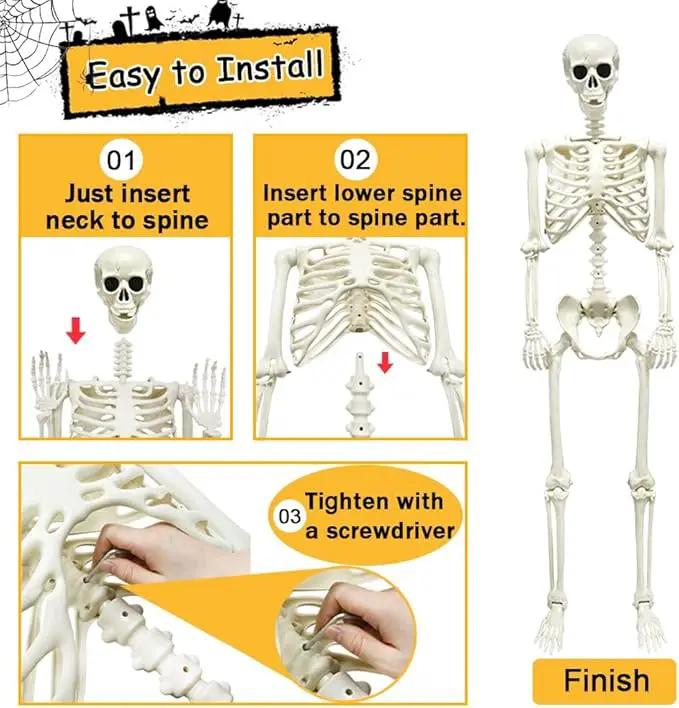 DINESIL 5.4ft/165cm Halloween Skeleton, Halloween Life Size Skeleton with Spider Pumpkin Bag, Full Body Human Bones with Movable Joints for Halloween Indoor Outdoor Haunted House Decorations by GreenHaven Gardens