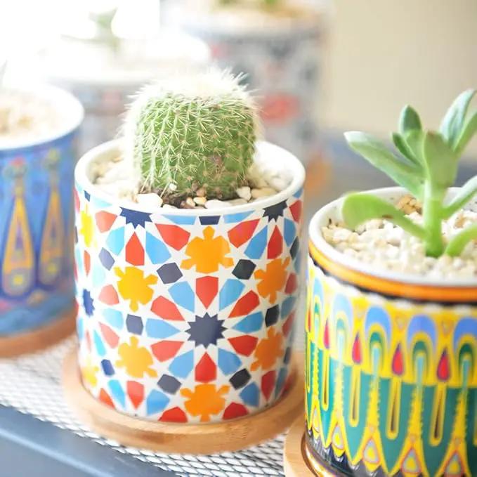 6 Pack Mandala Succulent Plant Pot with Bamboo Trays, Ceramic Multicolored Succulent Container Planter Pot for Small Plant by GreenHaven Gardens