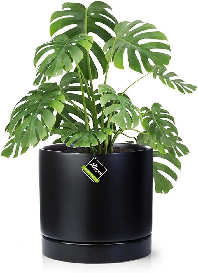 Aveyas 10 inch Ceramic Plant Pot with Drainage Hole and Saucer - Suitable for Indoor and Outdoor Use, Modern Planters for House Garden Flower Tree Snake Monstera Plants (10", Matte Black) by GreenHaven Gardens