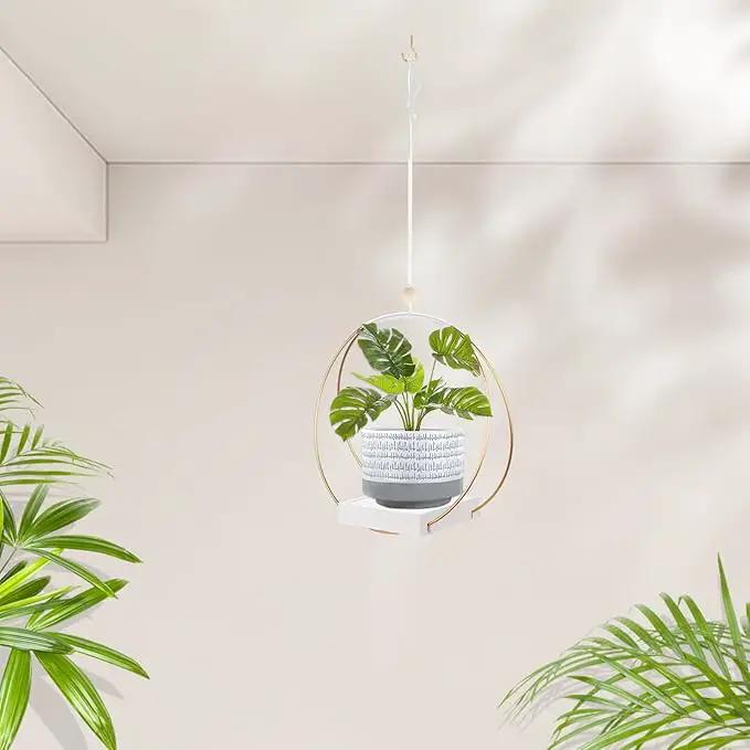 Hanging Planters for Indoor Plants, Plant Hanger with Sturdy Wood Base,Modern Boho Macrame Plant Hanger,Wall Ceiling Window Stands(Plants/Pots Not Included) by GreenHaven Gardens